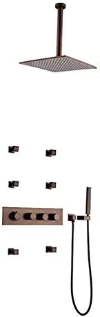 Metallic Finish Handheld Showerhead with 6 Wall Mount Heads