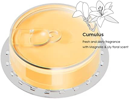 Coolang Vita Showerhead Filter with Vitamin C Aromatherapy