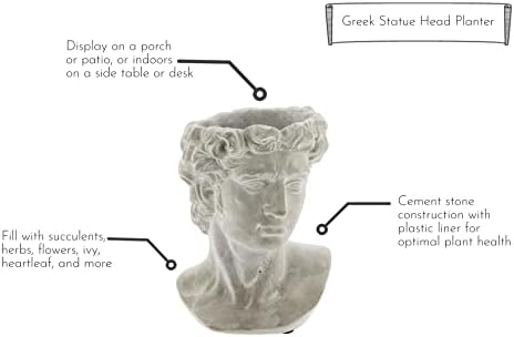 Greek Statue Head Cement Planter - 9 Inch Unique Decorative Plant Pot