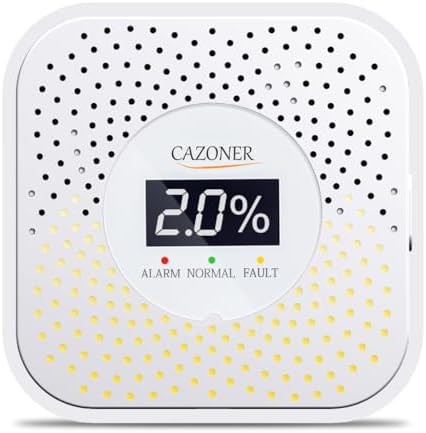 Natural Gas Leak Detector with 10-Year Lifespan and Digital LCD Display