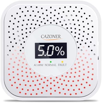 Natural Gas Leak Detector with 10-Year Lifespan and Digital LCD Display