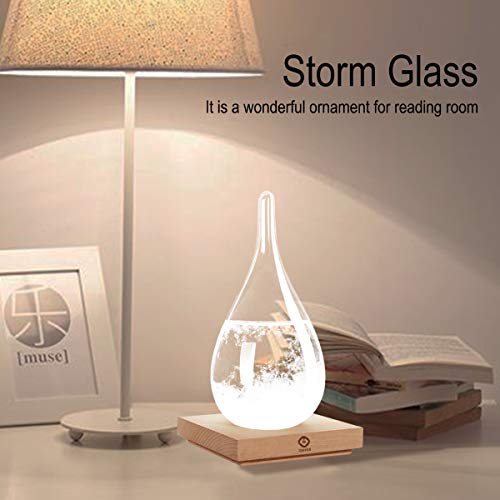 Storm Glass Weather Forecast Bottle Unique Decor Gift for Her