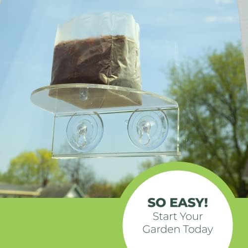 Window Garden Veg Ledge - Clear Acrylic Plant Shelf for Indoor Use