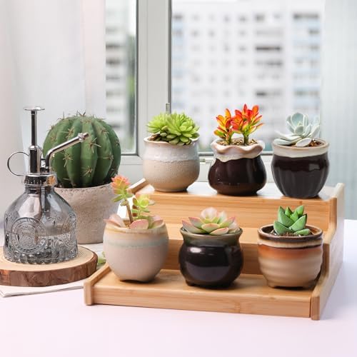 T4U Mini Ceramic Succulent Pots Set of 6