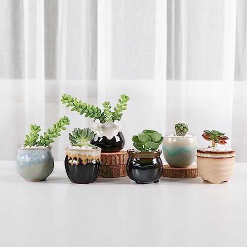 T4U Mini Ceramic Succulent Pots Set of 6