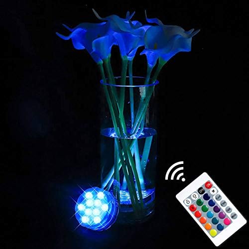 AquaMiracle 2-Pack Submersible LED Lights for Hot Tubs and Pools