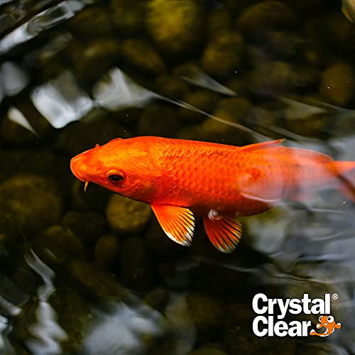 CrystalClear Algae D-Solv Pond Algae Control