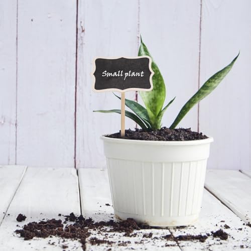 20PCS Wood Chalkboard Plant Tags for Garden and Lawn