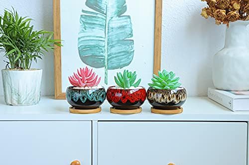 LamDawn Cute Ceramic Succulent Pots Set of 5