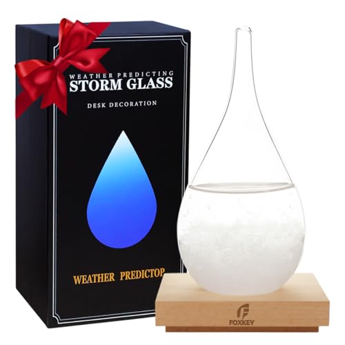 F FOXKEY Storm Glass Weather Forecast Decor