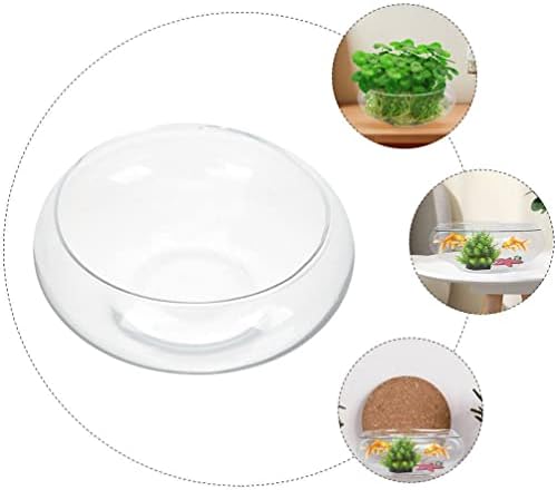 Alipis Round Glass Fish Bowl - 787 x 98 Decorative Terrarium Vase for Succulents Air Plants and Candles