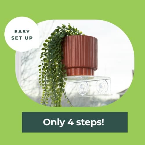 Window Garden Veg Ledge - Clear Acrylic Plant Shelf for Indoor Use