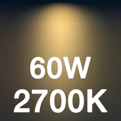 FLSNT 60W Equivalent LED Filament Bulbs 6 Pack Dimmable E12 Base