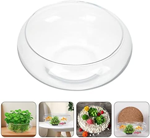 Alipis Round Glass Fish Bowl - 787 x 98 Decorative Terrarium Vase for Succulents Air Plants and Candles