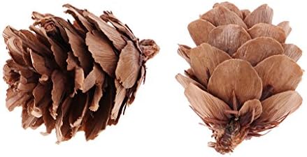 40 Pack Rustic Natural Dried Acorns Pine Cones Ornaments