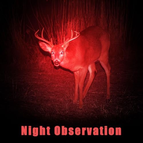 Honoson 2 Piece Red Light Flashlight for Night Observation