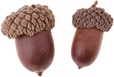 40 Pack Rustic Natural Dried Acorns Pine Cones Ornaments