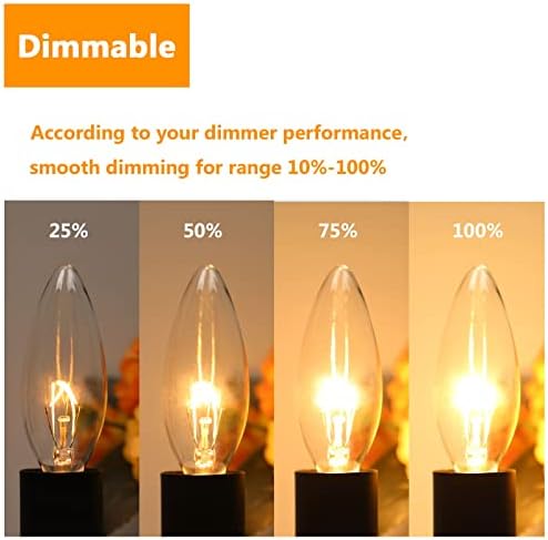 Brightever Vintage Incandescent 40Watt E12 Light Bulbs 12-Pack Warm White