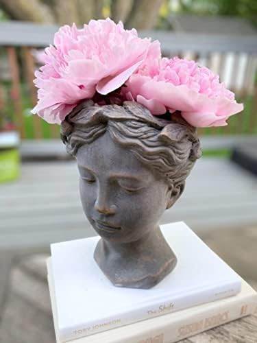 Greek Roman Style Female Statue Head Cement Planter - 8 Inch