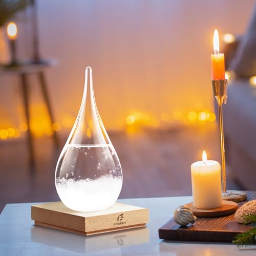 F FOXKEY Storm Glass Weather Forecast Decor