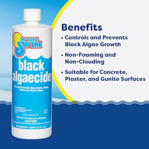 In The Swim Black Algaecide 1 Quart 2 Pack