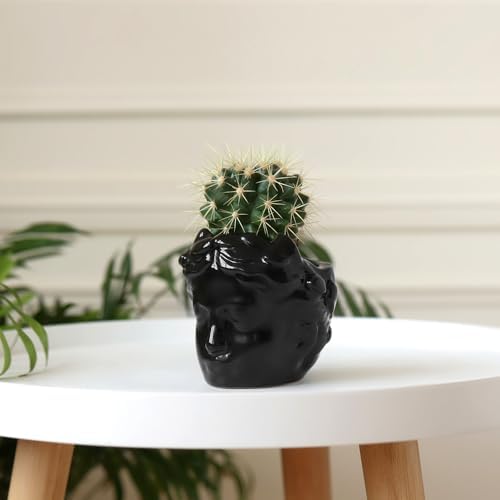 DOMIVKA Black Face Planter Ceramic Pots for Plants