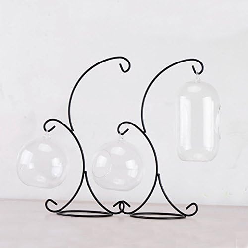 YY YEARCHY Modern Air Plant Stand with Hanging Hook