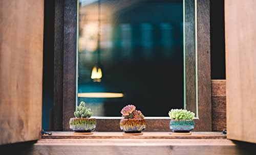 LamDawn Cute Ceramic Succulent Pots Set of 5