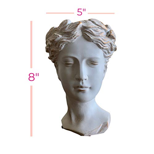 Greek Goddess Planter - Roman Style Female Head Bust Statue Pot