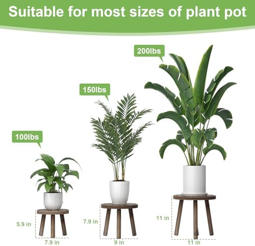 3-Pack Dark Brown Wood Plant Stands for Indoor Use