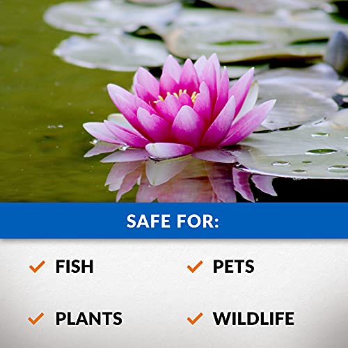 CrystalClear Algae D-Solv Pond Algae Control