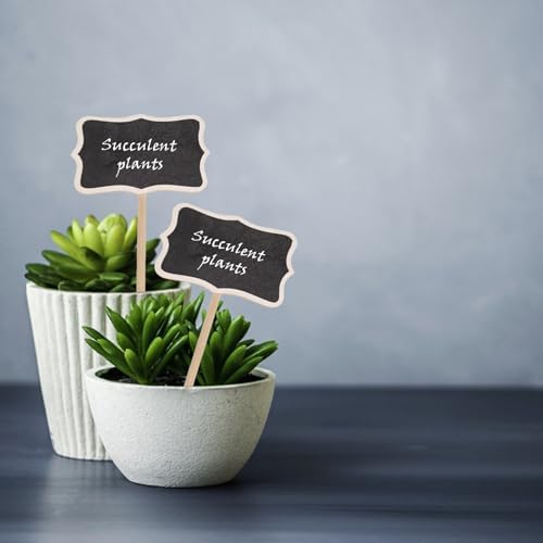 20PCS Wood Chalkboard Plant Tags for Garden and Lawn