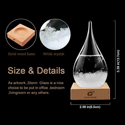 Storm Glass Weather Predictor Cool Indoor Decorative Gift for Adults