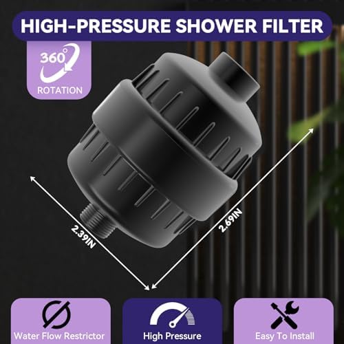 20 Stage Shower Filter with 2 Cartridges - Silver and Black