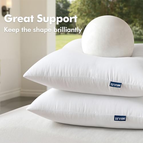 MIULEE Pack of 2 16x16 Outdoor Pillow Inserts