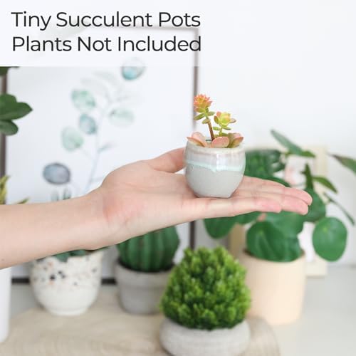T4U Mini Ceramic Succulent Pots Set of 6