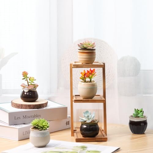 T4U Mini Ceramic Succulent Pots Set of 6