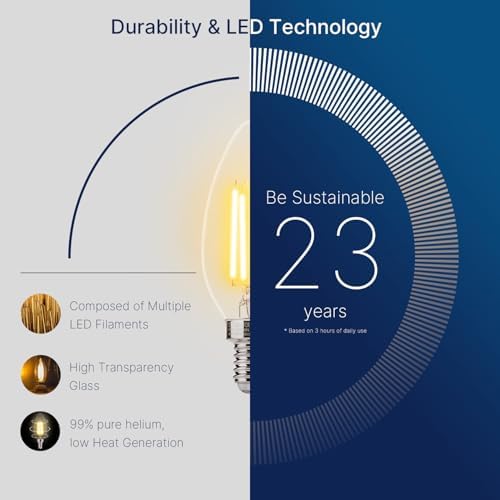 FLSNT 60W Equivalent LED Filament Bulbs 6 Pack Dimmable E12 Base