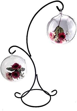 YY YEARCHY Modern Air Plant Stand with Hanging Hook