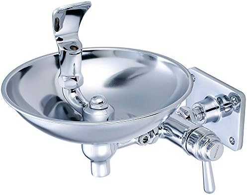 Central Brass 0366-HX8VWB Wall Mount Drinking Fountain in Chrome
