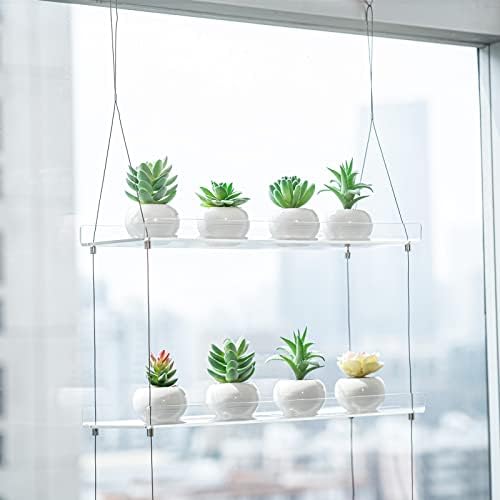Sumerflos 2-Tier Acrylic Window Plant Shelves