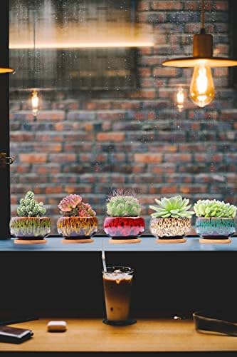 LamDawn Cute Ceramic Succulent Pots Set of 5