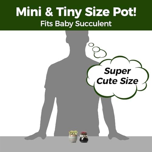 T4U Mini Ceramic Succulent Pots Set of 6