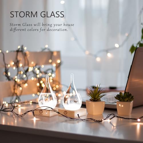 Storm Glass Weather Forecast Bottle with Crystal Display
