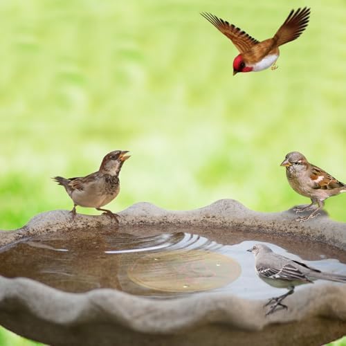 4Pack Bird Bath Purification Disk 9999 Pure Copper