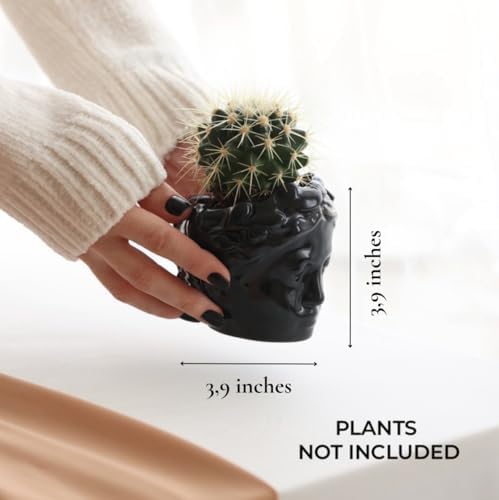 DOMIVKA Black Face Planter Ceramic Pots for Plants