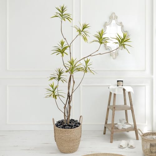 10 Pounds Natural Black Pebbles for Garden and Outdoor Decor