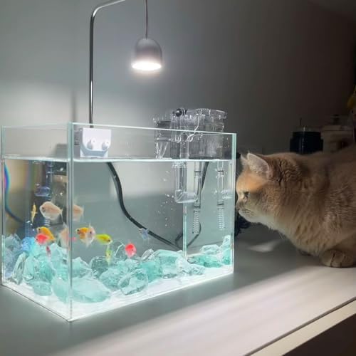 2lb Blue Glass Rocks 10-20mm Broken Sea Glass for Decorative Crafts and Fire Pit