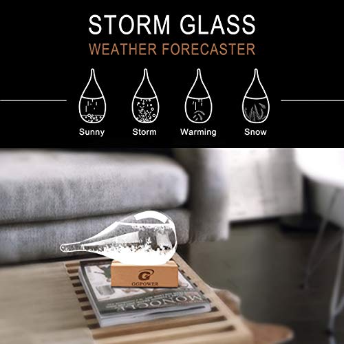 Storm Glass Weather Predictor Cool Indoor Decorative Gift for Adults
