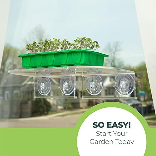 Window Garden Double Veg Ledge - Suction Cup Shelf for Plants